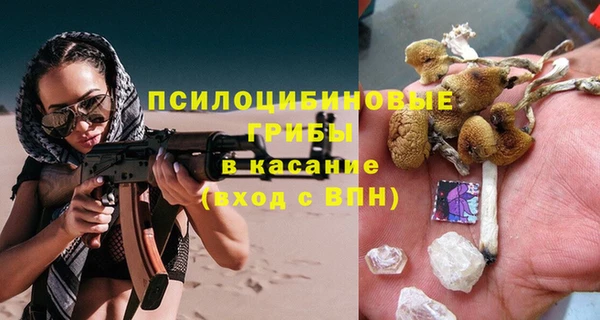 гашик Алексеевка