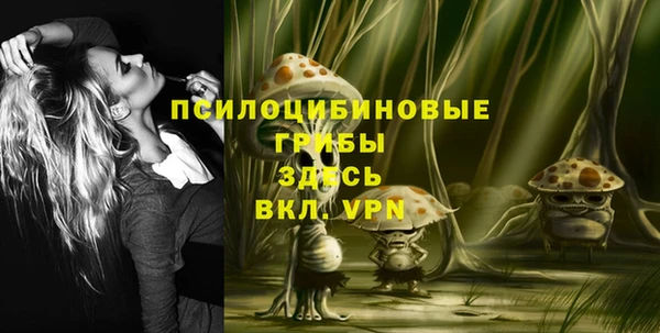 гашик Алексеевка